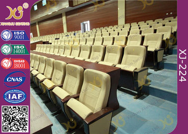 中国 標準的な次元の十分に装飾された引き込み式の講堂の劇場の座席 サプライヤー